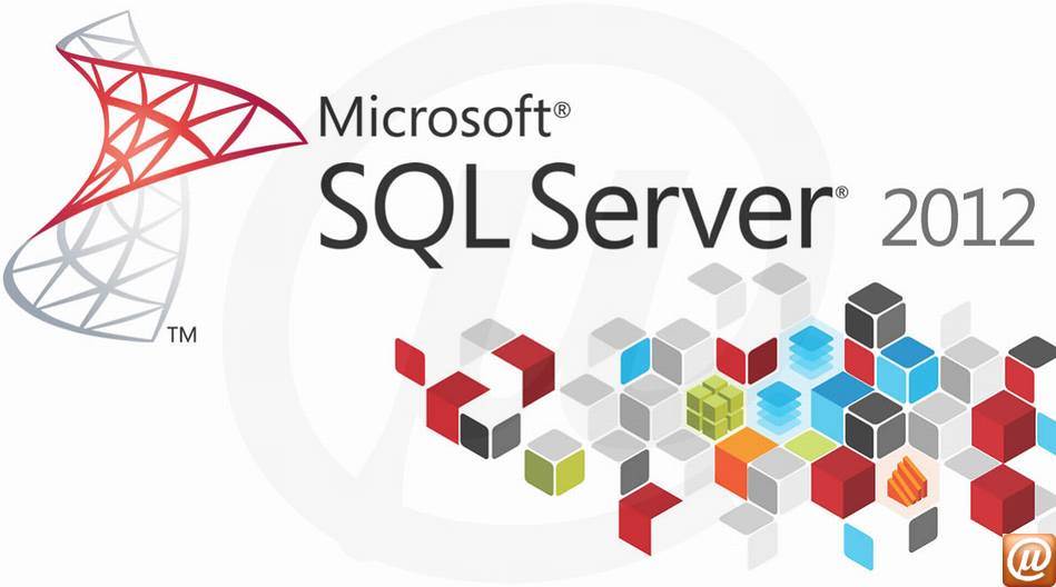 7NQ-00215 - Licena perptua Open Microsoft SQL Server Standard Core SQLSvrStdCore SGNL [LicSAPk] Licena + Software Assurance OLP 2 Lic NL CoreLic [Qualified] [QLFD]